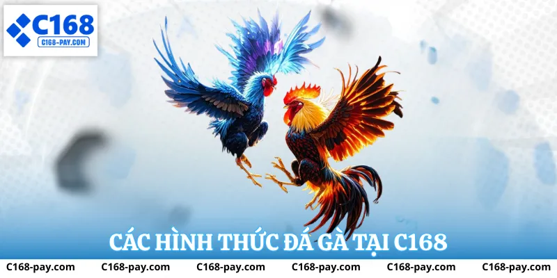 Các hình thức đá gà tại c168